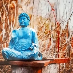Buddha Photograph